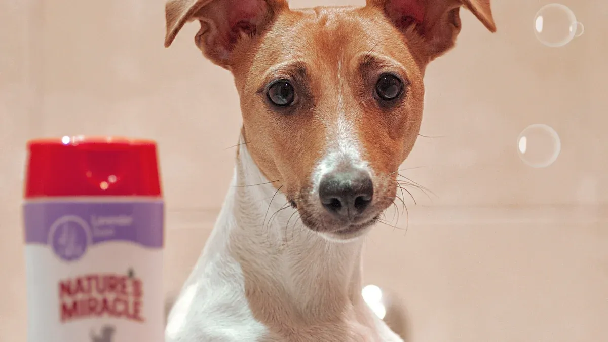 Flöhe bei Hunden erkennen