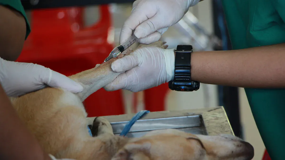 Langfristige Prävention von Flöhen bei Hunden