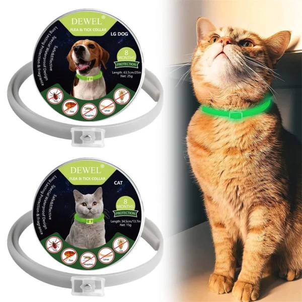Leuchtendes Floh- & Zeckenhalsband für Katzen – 8 Monate Schutz + Nachtsicht - Image 3