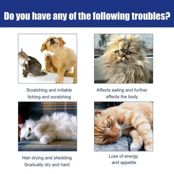 Natürliches Floh- & Zeckenspray für Hunde & Katzen mit Lavendel & Eukalyptus – 100ml
