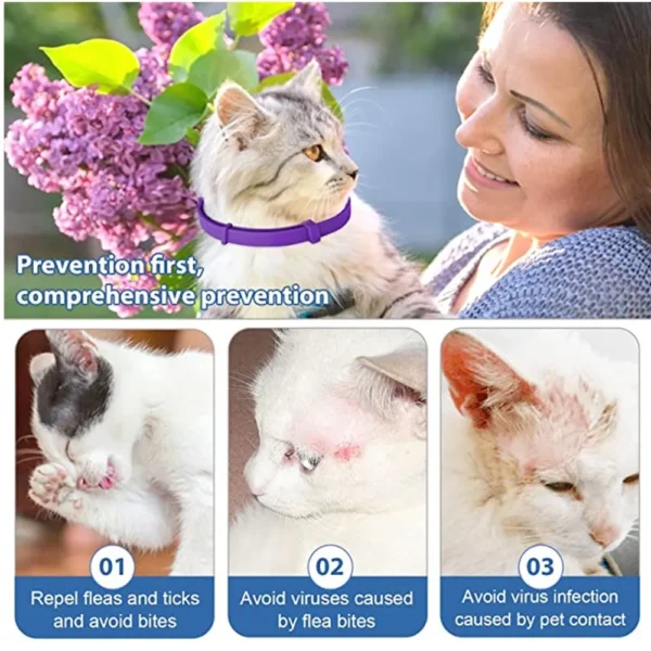 3er-Pack Floh- & Zeckenhalsband für Katzen – Testsieger mit beruhigender Pheromon-Wirkung - Image 2
