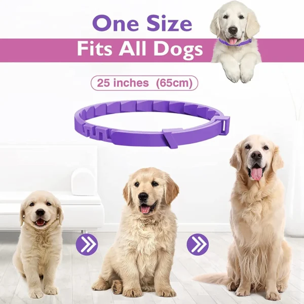 3er-Pack Floh- & Zeckenhalsbänder für Hunde + Beruhigende Wirkung - Image 3